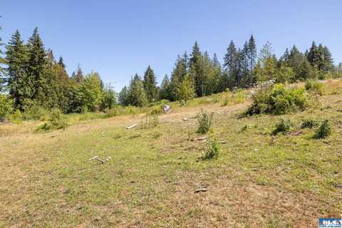 9999 Bravo Rd., Lot 3, Port Angeles, WA 98362