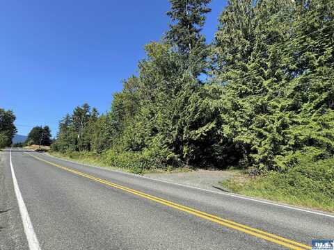 474 Black Diamond Rd, Port Angeles, WA 98363