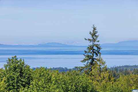 445 Black Bear Trail, Port Angeles, WA 98362