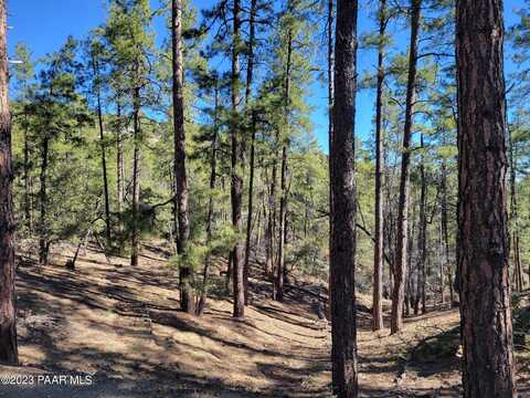 00 Ives Canyon Trail, Prescott, AZ 86305