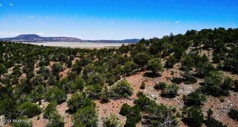 15-2c-4 Unnamed Rd (20 Acres), Seligman, AZ 86337