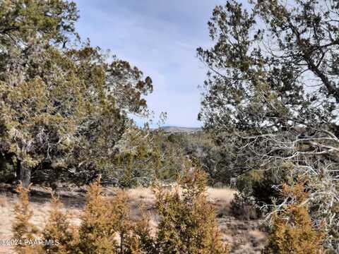 54353 N Shadow Mountain Parkway, Seligman, AZ 86337