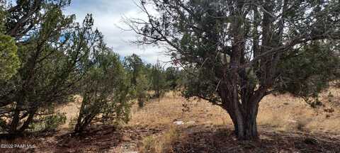 32369 W Avenida Bailar Lot # 2972, Seligman, AZ 86337