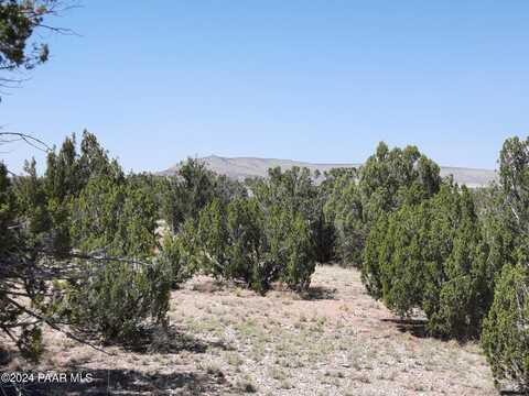 Lot 685 W Medicine Man Trail, Seligman, AZ 86337