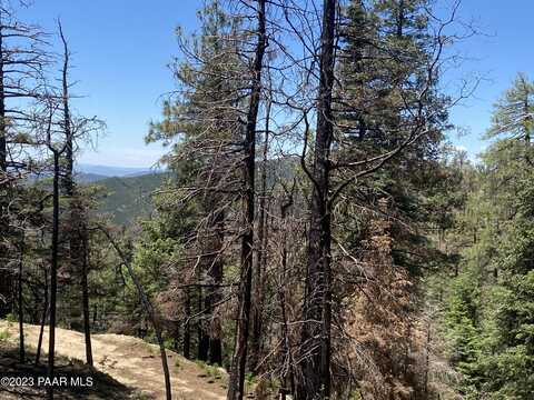 1001 N Turkey Trot Trail, Prescott, AZ 86303