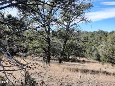 31790 W La Gatito Lane, Seligman, AZ 86337