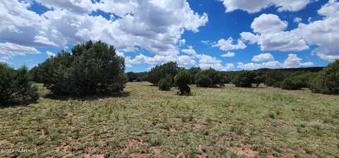 687-a Medicine Man Trail, Seligman, AZ 86337