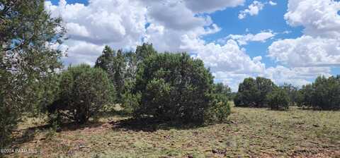 687-b Medicine Man Trail, Seligman, AZ 86337