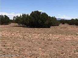 Lot 84 Juniperwood Ranch, Ash Fork, AZ 86320