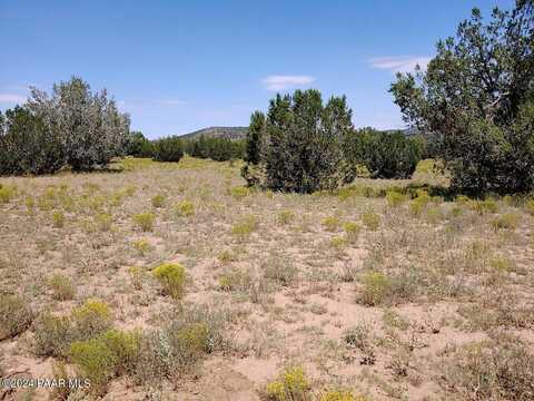 40670 W Scout Trail, Seligman, AZ 86337