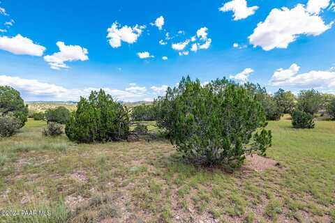 31090 W Cruz Circle, Seligman, AZ 86337