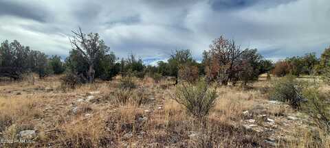 32399 W Avenida Bailar Lot #2973, Seligman, AZ 86337