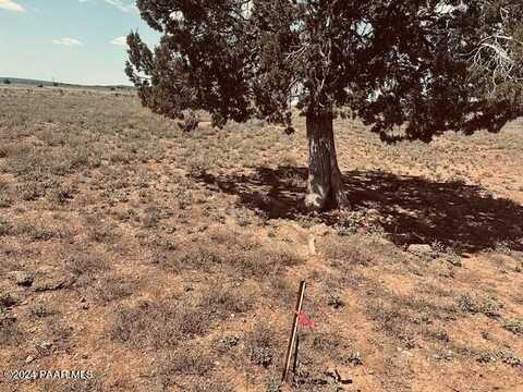 28581 W Hondo Road, Seligman, AZ 86337