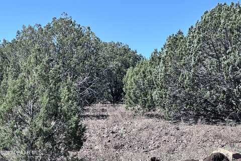 486 Off Edwards Ranch Road, Williams, AZ 86046