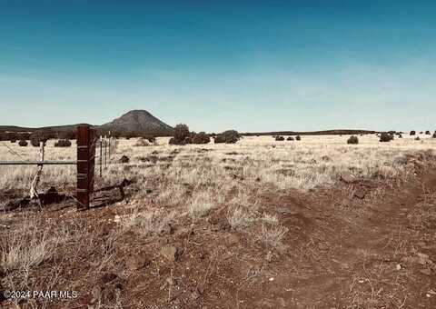 90c Volcano Trail, Ash Fork, AZ 86320