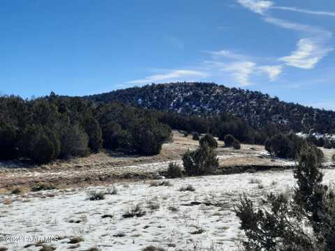 51762 N Agua Fria Road, Seligman, AZ 86337