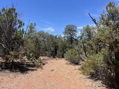 1022 Off Of Duffis Bluff Road, Seligman, AZ 86337