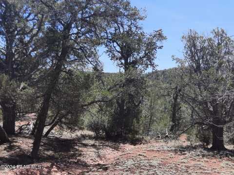 Lot 128 Forest Acres, Seligman, AZ 86337