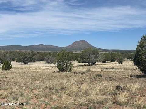 Lot 43se Tides Trl, Ash Fork, AZ 86320