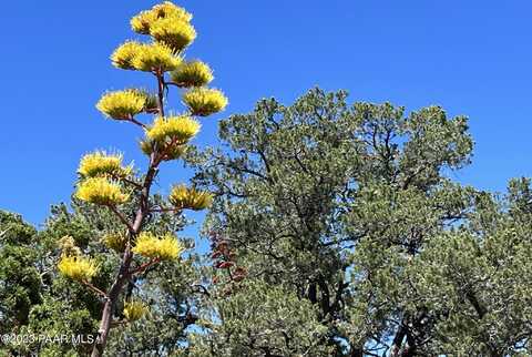 331 Off Of Big View, Ash Fork, AZ 86320