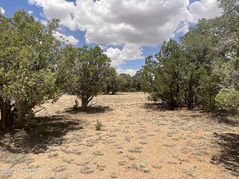 Lot 197 El Gato, Seligman, AZ 86337