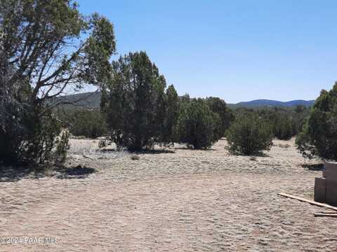 47474 N Antelope Dr, Seligman, AZ 86337