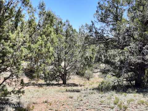 Lot 1404d Bad Dog Rd, Seligman, AZ 86337