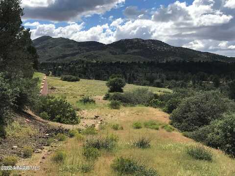 17575 W Buckhorn Drive, Peeples Valley, AZ 86332