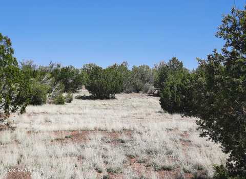 56673 N La Carro Lane, Seligman, AZ 86337