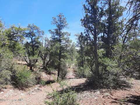 Lot 130 Forest Acres, Seligman, AZ 86337