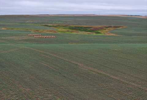 TBD Date Road, Bison, SD 57620