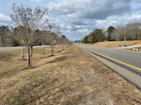 29488 Highway 43, Thomasville, AL 36784