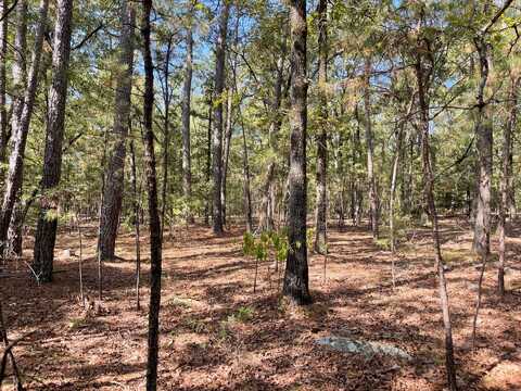 2800 Highway 2, Antlers, OK 74523