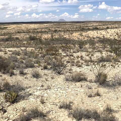 13447 Pecos Road 78.71 Acres, Alpine/Terlingua, TX 79852