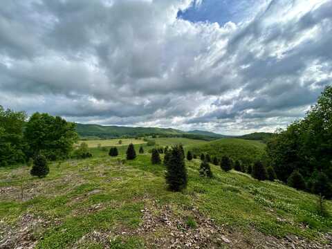 0 Horne Hollow Rd, Sugar Grove, VA 24375