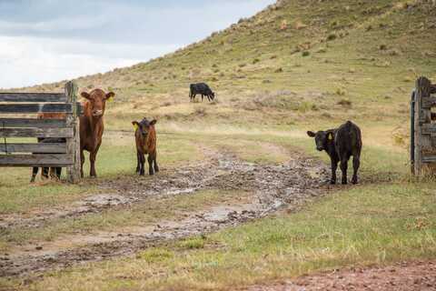 9870 Tollefson Trail &amp; 1961 Wild Turkey Way, Fort Laramie, WY 82212