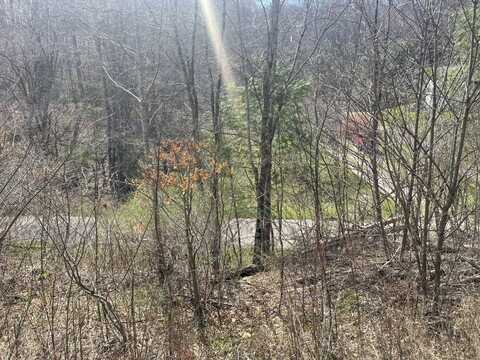 680 Old Mountain Rd, Pocahontas, VA 24635