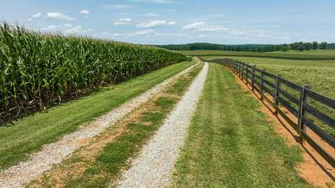 1403 Moores Mill Road, Rougemont, NC 27572