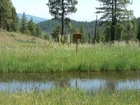 TBD National Forest Dev Rd, Sumpter, OR 97877