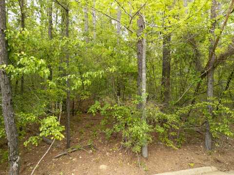 0 Oak Hollow Cove., Jackson, MS 39282