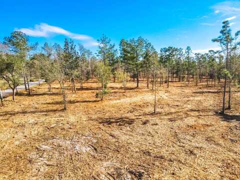 TBD CHIPOLA RD, BLOUNTSTOWN, FL 32424