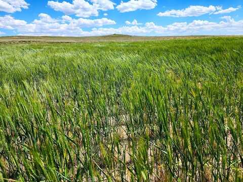 TBD Road 20S, Bushnell, NE 69128