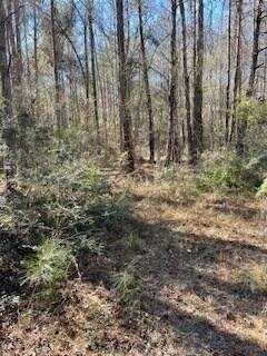 0 South Glenwood Rd, Brantley, AL 36009