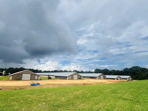 00 County Road 107, Red Level, AL 36474