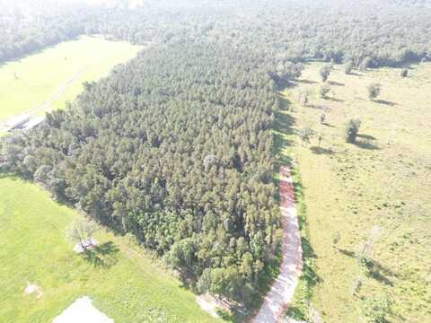 0 Critter Cove Lot A, Livingston, LA 70754