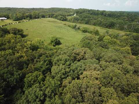 9.593 Acres Trigg Tower Road, Simpson, IL 62985