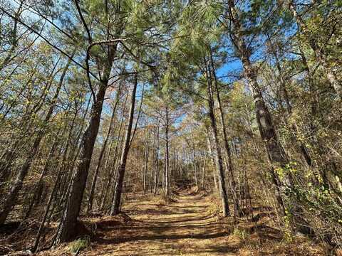 4 Antioch Shiloh Rd, Pelahatchie, MS 39145