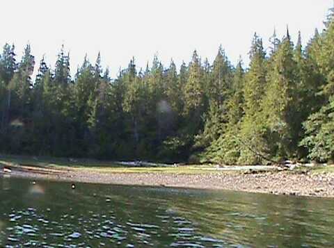 Lot 11 Block 1 Thoms place, Wrangell, AK 99929