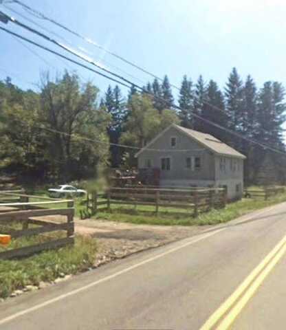 106 Beaverkill Rd, Livingston Manor, NY 12758