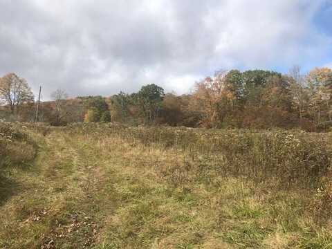 504 Fuller Hill Rd., Downsville, NY 12776